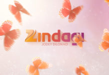 Zee Zindagi TV Bans All Pakistani Dramas Zee Zindagi Tv Bans Pakistani Dramas