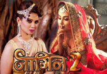 Naagin 2 on Colors TV: Mouni Roy Turns Naagin Once Again! Naagin 2
