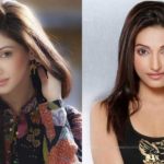 Indian-TV-Celebs-lookalike-4