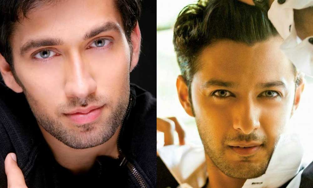 Indian-TV-Celebs-lookalike