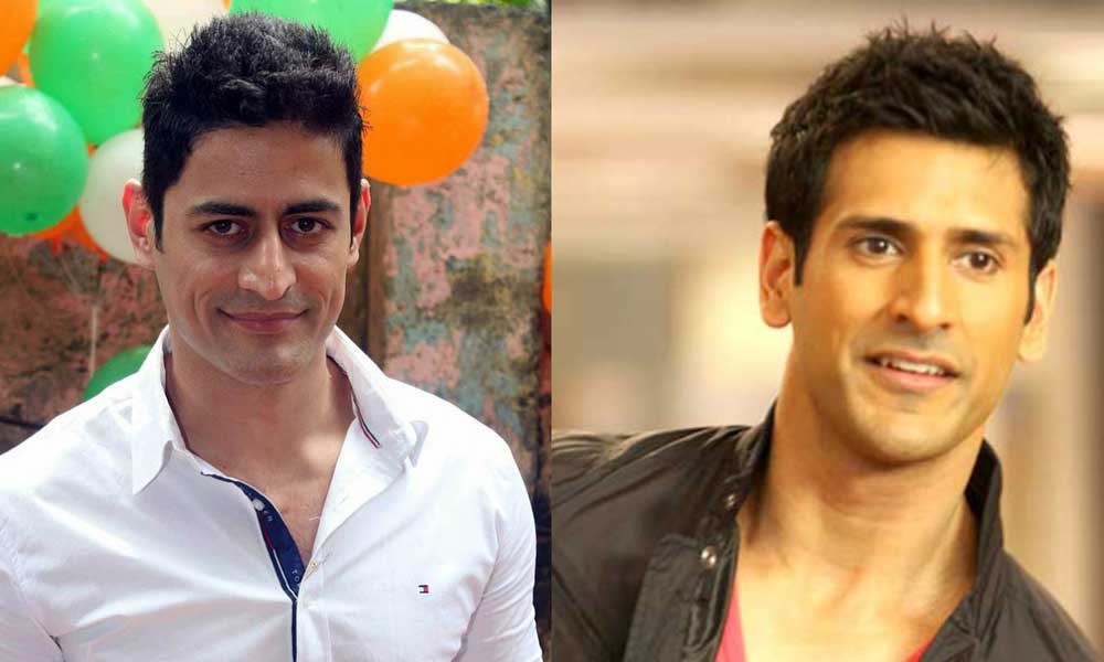 Indian-TV-Celebs-lookalike