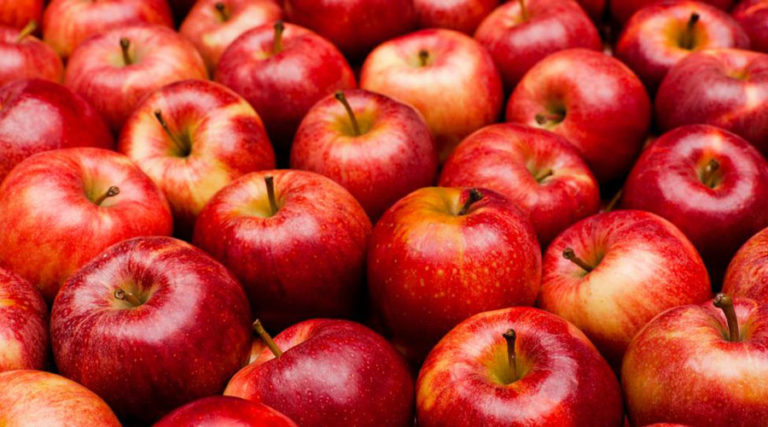 "10 Million Meals" gets One Million Apples Donation