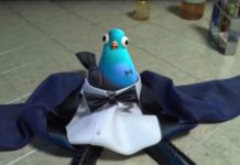 Pakistani ‘Spy’ Pigeon’s capture by India enrages owner Pakistani ‘Spy’ Pigeon’s capture by India enrages owner