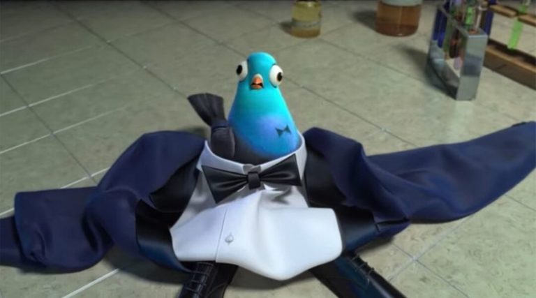 Pakistani ‘Spy’ Pigeon’s capture by India enrages owner