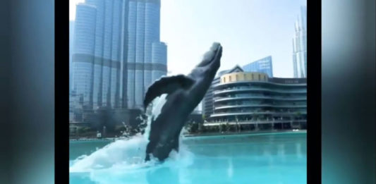 "Whale in Dubai Mall Fountain" CGI video create a spark on Instagram
