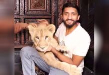 How is it to have a Pet Lion at home in Multan? How is it to have a Pet Lion at home in Multan? Watch this.