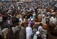 How to fully enjoy Eid ul Adha in Quarantine and Social Distancing How to fully enjoy Eid ul Adha in Quarantine and Social Distancing