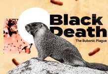 Chinese authorities confirm case of “Bubonic plague” in Inner Mongolia Chinese authorities confirm case of bubonic plague in Inner Mongolia