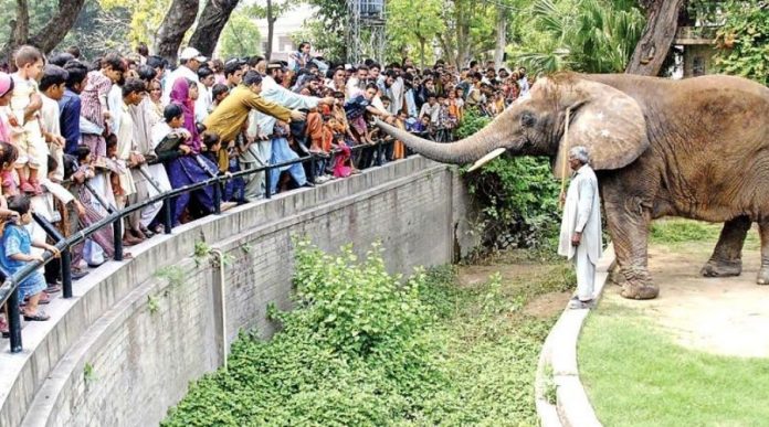 KMC announced to reopen Karachi Zoo & other recreational parks from Tuesday