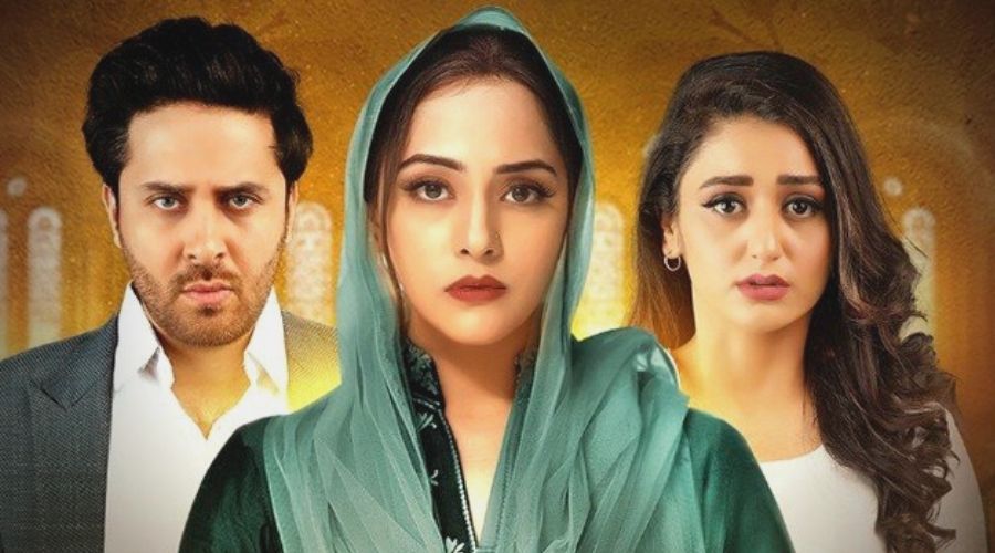 Tamanna: Cast, Story, OST and Timing Starring Nosheen Ibrahim, Haroon ...