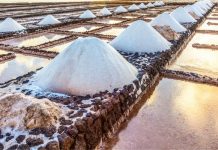 World’s Largest Salt Refinery to be constructed in Balochistan, Pakistan World’s Largest Salt Refinery to be constructed in Balochistan, Pakistan