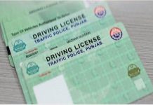How to Get Your Driving License via DLIMS in Punjab