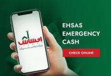 How To Register Ehsaas Emergency Cash Program ? How To Register Ehsaas Emergency Cash Program ?