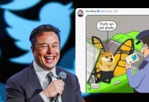 Elon Musk Changes Twitter Logo To Doge, Pushing The Memecoin Up By Over 30% Elon Musk Changes Twitter Logo To Dogecoin