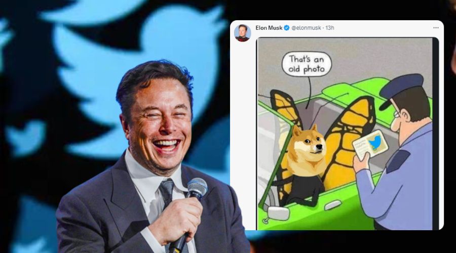 Elon Musk Changes Twitter Logo To Dogecoin