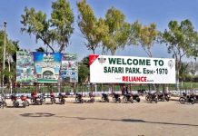 Safari Park Karachi: Location, Timings, Tickets, Facilities and More Safari Park Karachi: Location, Timings, Tickets, Facilities and More
