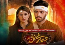 Tere Bin Drama Cast, Timing, Story, Where to Watch: Everything You Need To Know tere bin drama cast timing story