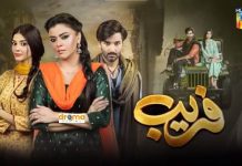 Fareb Drama 2023 Cast, Release Date, Story, Trailer Fareb-Drama