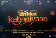 ‘Teri Meri Kahaniyaan’ featuring star-studded cast set to thrill fans on Eid ul Adha 2023 'Teri Meri Kahaniyaan' Eid ul Adha 2023