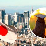 Japan Paid Internship Program for Pakistani Students